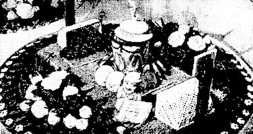 11Солодка шана СГ 21 грудня 1966
